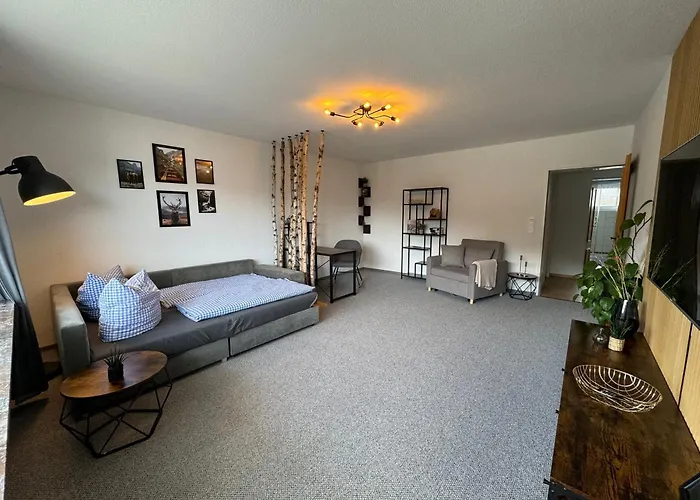 Am Alten Weinberg Lejlighed Bad Berleburg